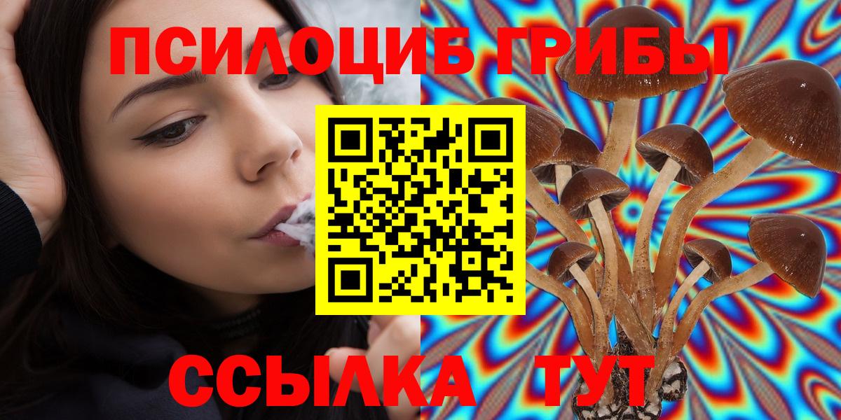 Тверь  Псилоцибиновые грибы Psilocybine cubensis  Вход с VPN 